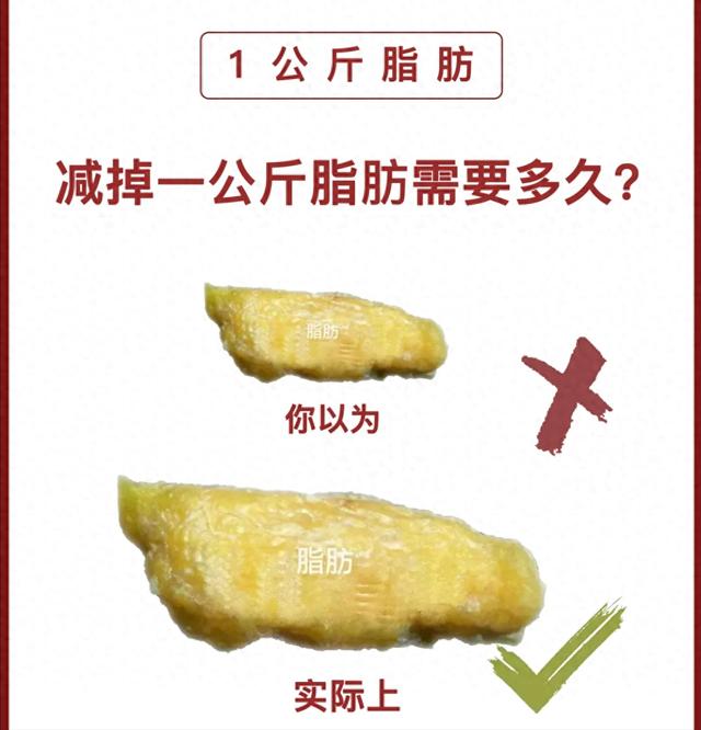 你知道减一公斤脂肪有多难吗?