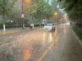 未来几天甘肃气温波动明显 局地将出现阵雨或雷阵雨