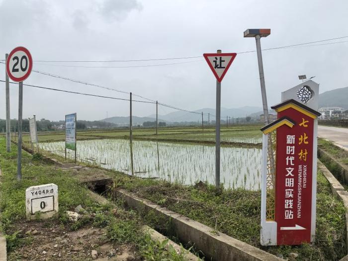 4月23日，广东始兴县七北村一处高标准农田里，未出现农田洪涝。受访者供图