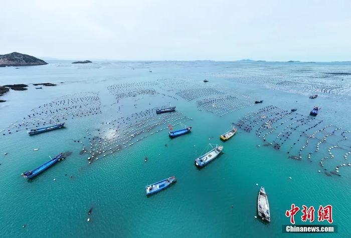 23 周二 | 大风沙尘天气来袭!陕西这些地方注意防范(语音版)