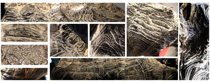 纹集千祥,佛佑万象——白马纹石《大吉祥》记