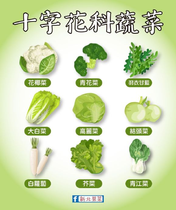 常常在报章媒体上看到“十字花科”一词,那什么是十字花科蔬菜呢?|白菜|家族|山东|天津|含量_新浪新闻
