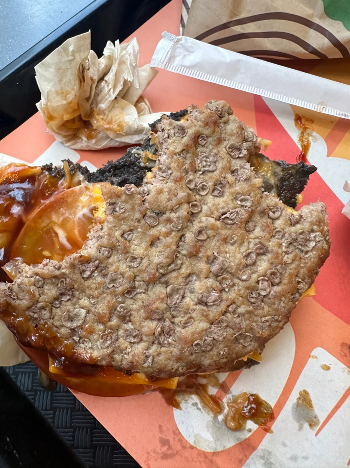 图片来自小红书@柯基