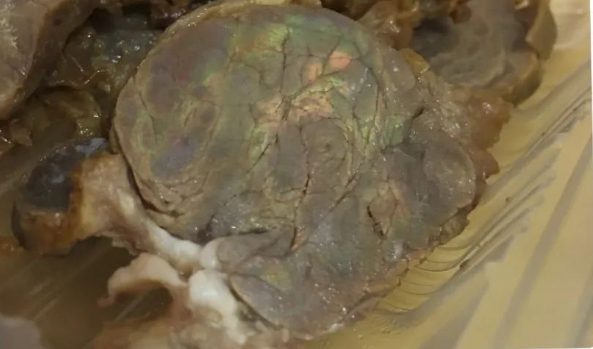 酱牛肉的金属色反光。窗敲雨拍摄