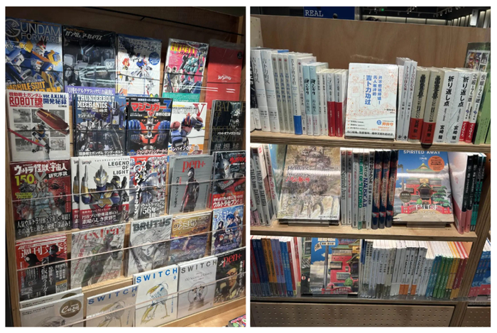 （图/氢商业摄）