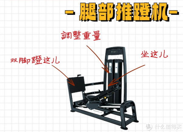怎么调器械座椅固定器械练臀腿技巧大揭秘!健身房六大热门臀腿器械使用指南！_https://www.jmylbn.com_新闻资讯_第4张