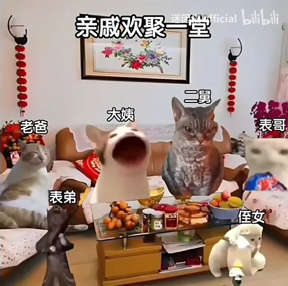 猫meme统治地球，猫meme拯救世界