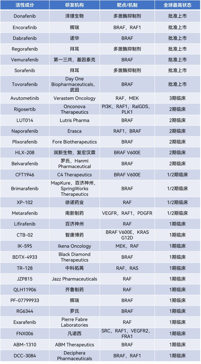 ▲截至2024年3月10日，全球部分临床期和获批RAF靶向疗法盘点