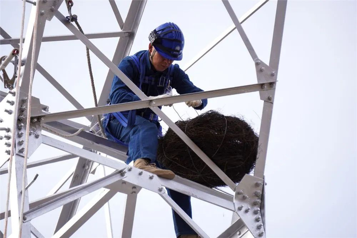        国网甘肃张掖供电公司工作人员在架设人工鸟巢（资料照片）。新华社发