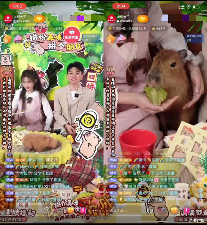 （卡皮巴拉亮相永和大王抖音直播间）