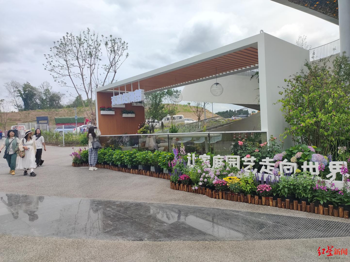 “海蒂的花园”把园艺阳台“搬进”成都世园会__财经头条