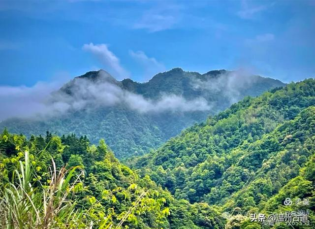 静静的山村田园,清清的溪流碧潭.