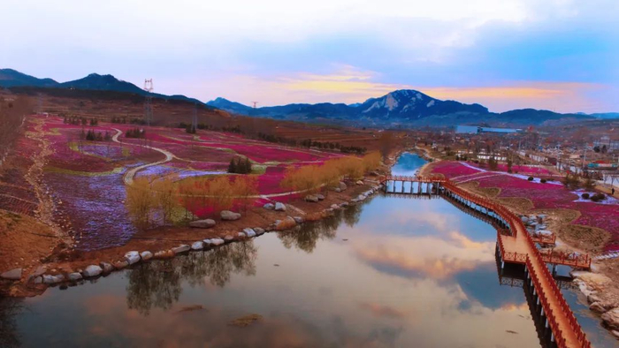 花海——昆嵛山景区——六度寺·樱红石语驿站一,目的地:威海市文登区