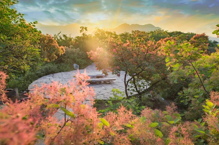 图/京西幽岚山微信公众号