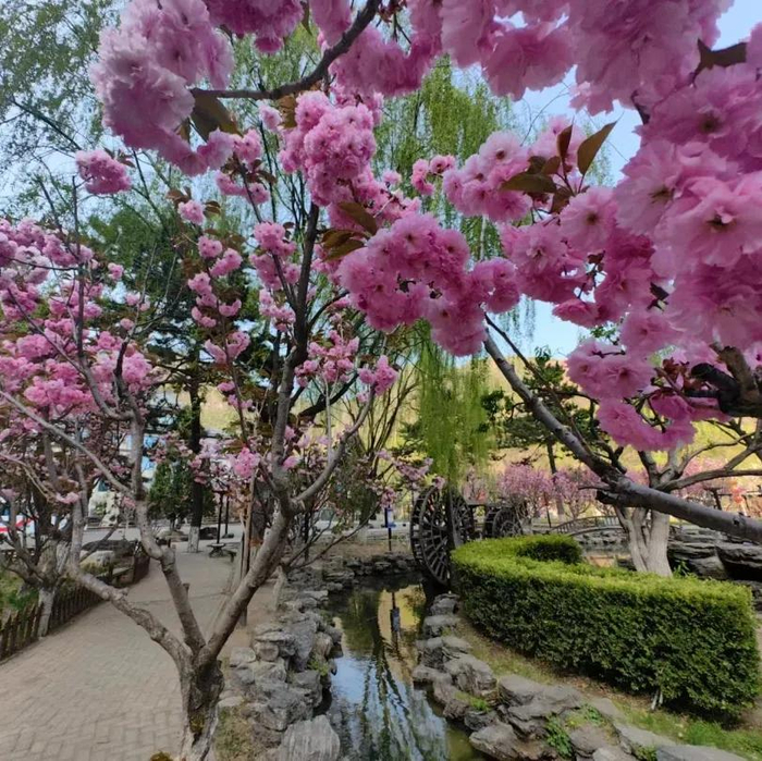 图/龙庆峡微信公众号