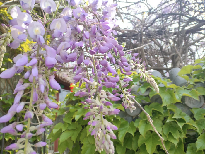 图/圣泉山微信公众号