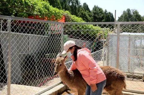 图/圣泉山微信公众号