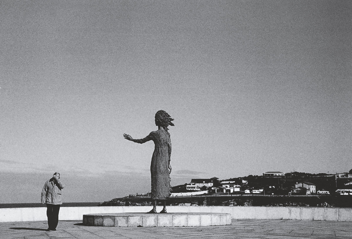 《北雁南飞》，2005年，西班牙