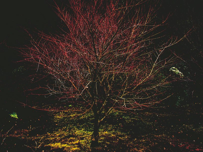 《血雨》，2013年，京都