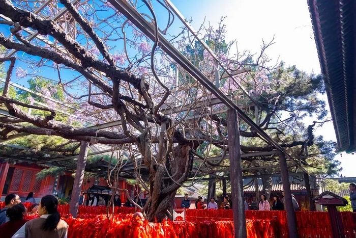 图/红螺寺微信公众号