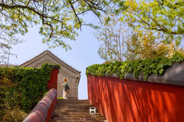 图/红螺寺微信公众号