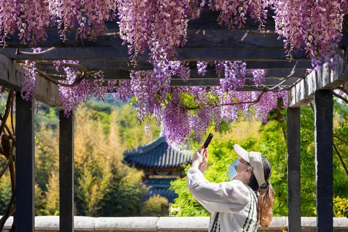 图/红螺寺微信公众号