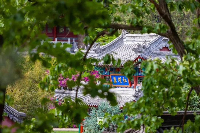 图/红螺寺微信公众号