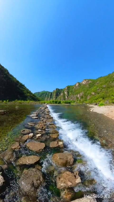 壁纸 桌面 480_853 竖版 竖屏 手机