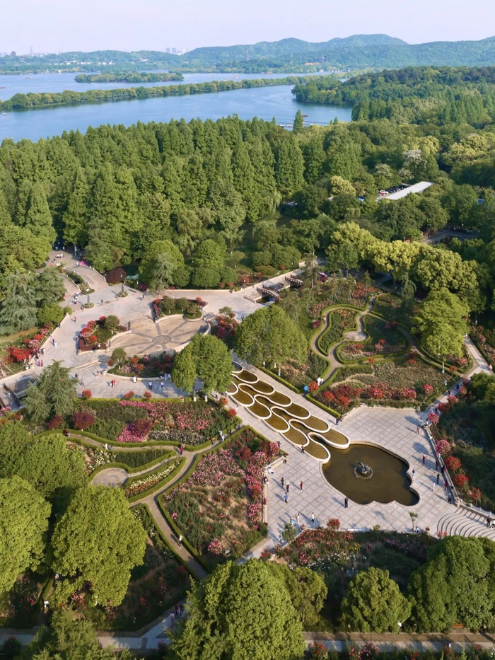 杭州花圃 摄影/楼航