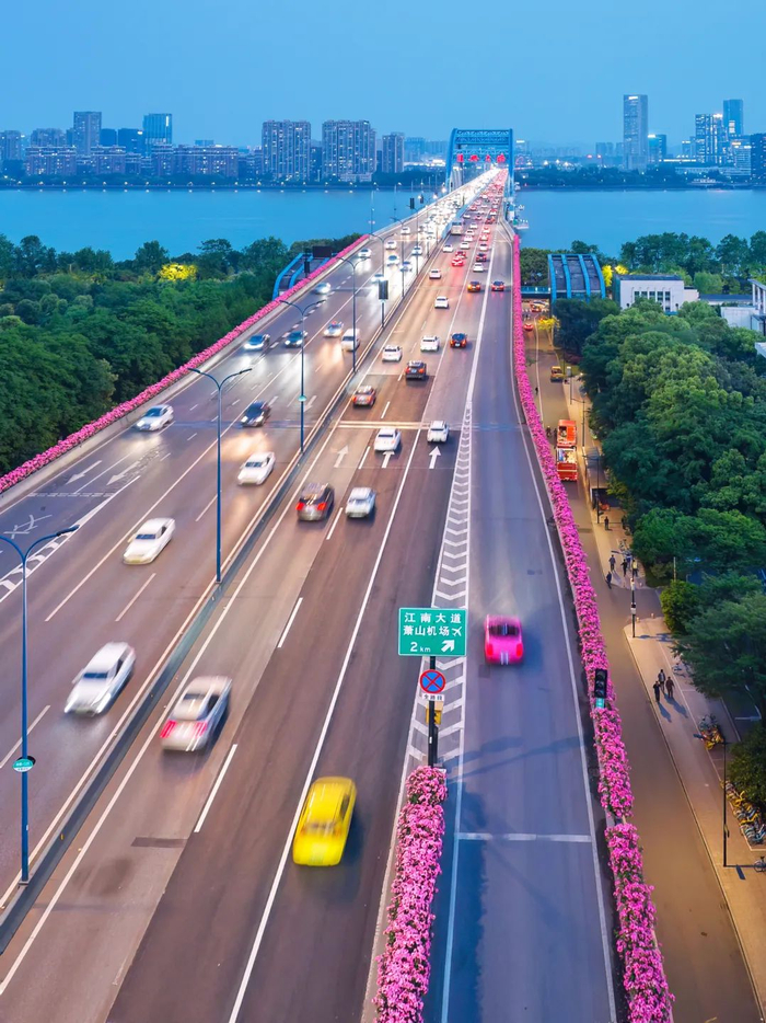 高架上一路生花 摄影/楼航