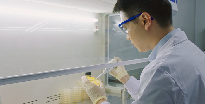 海天菌种研发人员