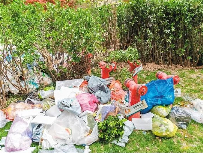 环网室前草地上的垃圾堆