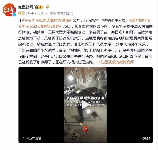 长春警方：3人指使烈性犬咬死流浪猫，被行政处罚