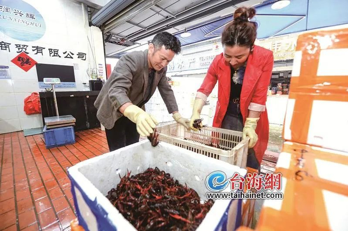 ▲26日上午，夏商水产交易中心，商家正在挑选小龙虾准备发货