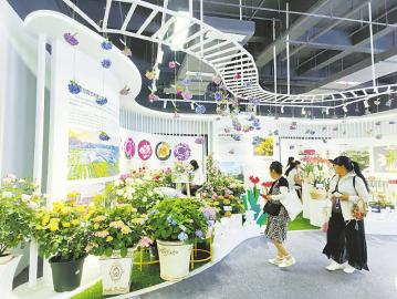 郫都分会场。四川日报全媒体记者 蒋君芳 摄