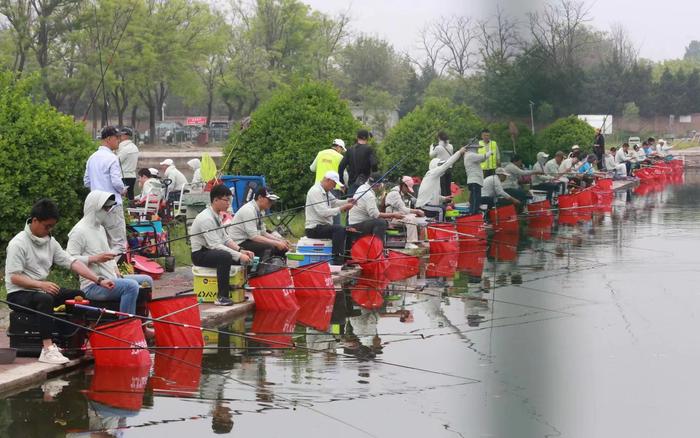 参赛家庭比拼手竿钓鲫鱼和混养鱼，各赛一场。 北京市体育局供图