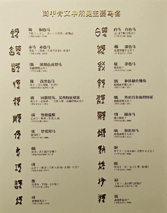 考古摇篮:殷墟新馆够拼,展70余年压箱底文物〡博物馆巡游