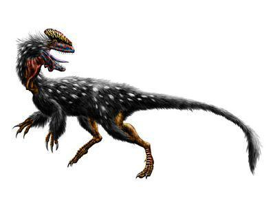 第七十二课 冠龙(一)guanlong