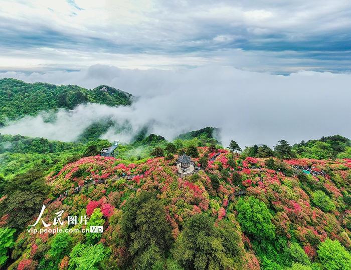 2021年龟峰山花期图片