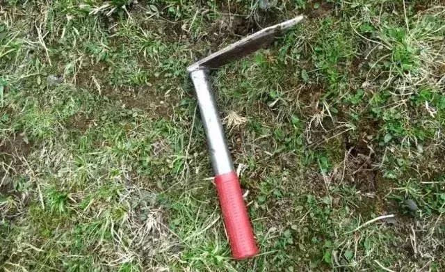 供图：青报商城