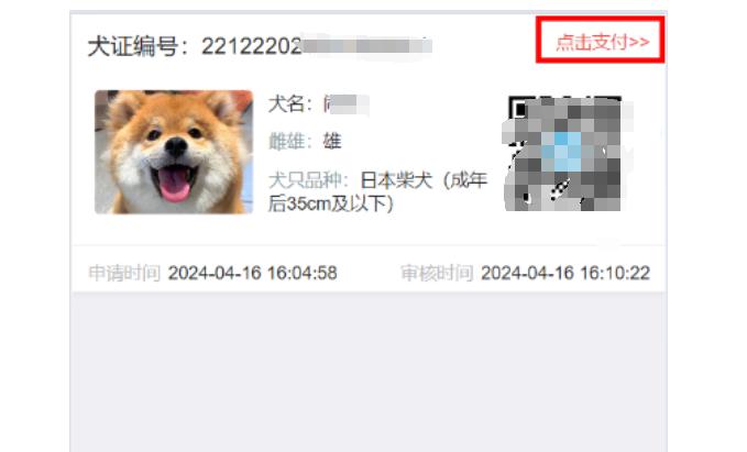 北京养犬登记年检如何“掌上”办理？流程看这里