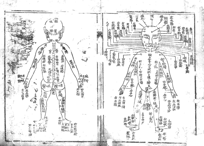 清代《巴县档案》中的《刑部题定验尸图》