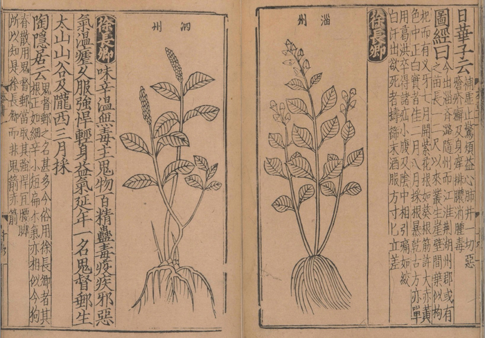 宋寇宗奭编撰《新编类要图著本草》，日本宫内厅书陵部藏宋末元初建安余彦国励贤堂刊本（建阳书坊刻）