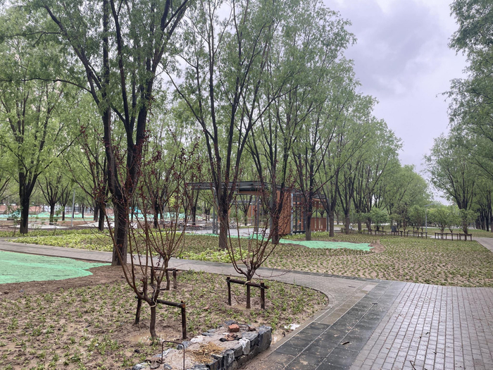 天通苑生态休闲公园项目施工进度已完成60%。  新京报记者 田杰雄 摄