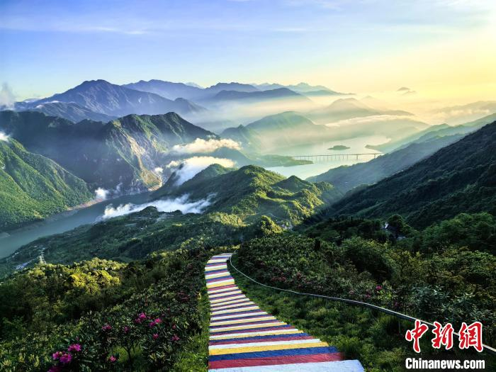 四川汶川:高山杜鹃花盛放点缀山野