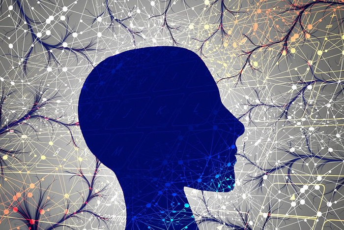 图片来源：物理学家组织网