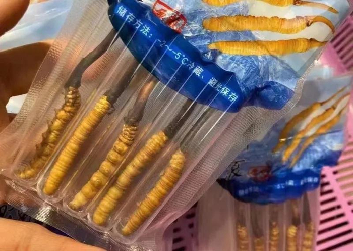 供图：青报商城