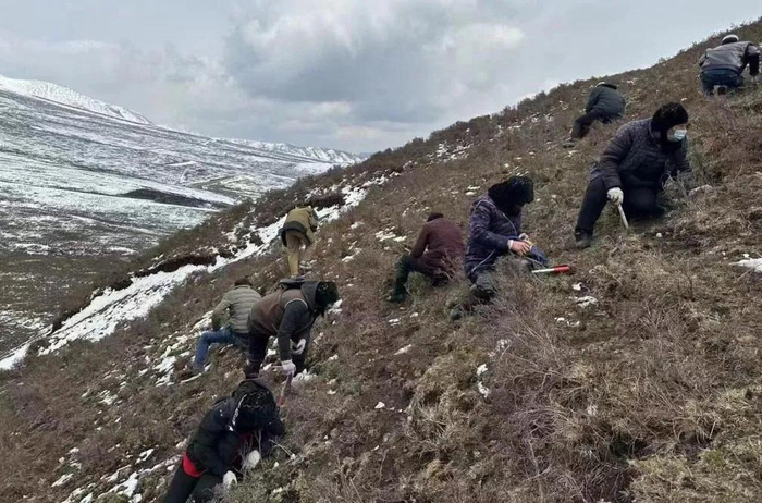 供图：青报商城