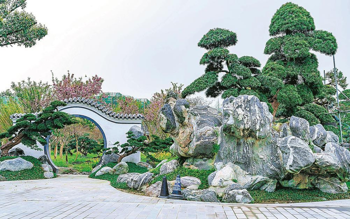     温江分会场盆景艺术馆