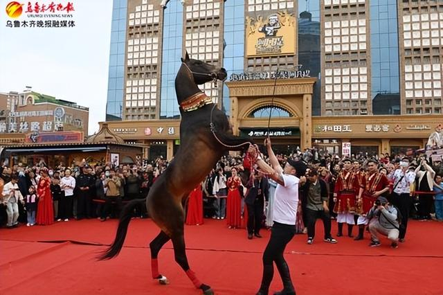 　　在大巴扎步行街，新疆古生态园汗血宝马基地骑手正在和汗血宝马战神与游客表演互动。资料图片